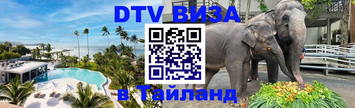 Оформление DTV визы под ключ: стоимость и тарифы, только загранпаспорт - Рязань  04.10.2025 